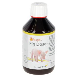 Feed supplement for piglets Globigen Pig Doser