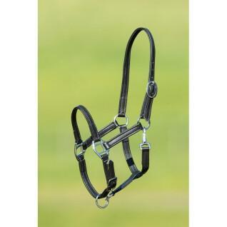 Soft leather halter for horse HFI