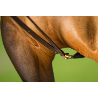 German leather horse reins HFI