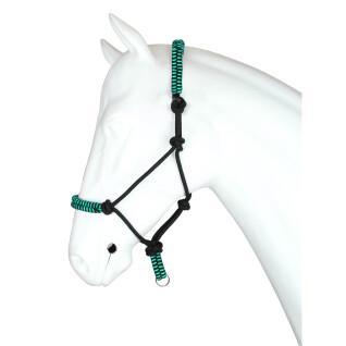 Pony halter QHP Cali - Horse halters - Halter & Lanyards for horses - Horse  equipment