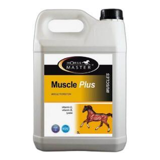 Supplement Joint Support Horse Master Muscle Plus