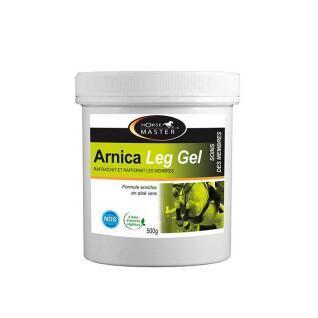 Refreshing gel for horses Horse Master Arnica Leg 500 g