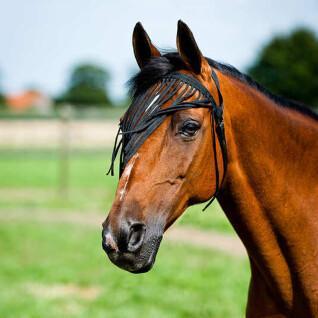 Fly bangs for horses Horze simple