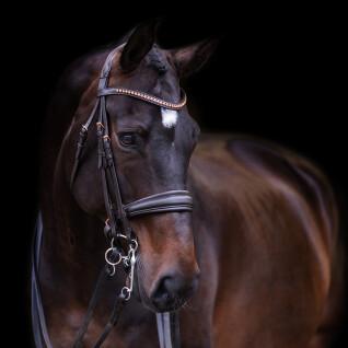 Riding bridle Imperial Riding Fria