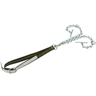 Double collar attachment chain with carabiner Kerbl