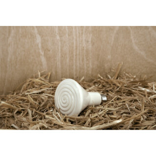 Ceramic bulb without light Kerbl E27