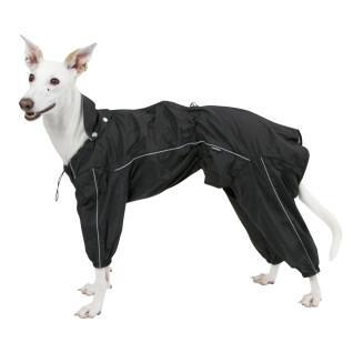 Rain coat for dogs Kerbl Manchester