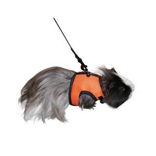 Set of 3 harnesses for sport rodents Kerbl
