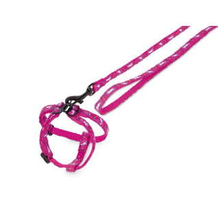 Nylon rodent harness with leash Nobby Pet Carrot