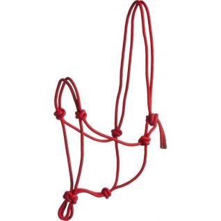 Halter for horse Norton First