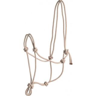 Halter for horse Norton First