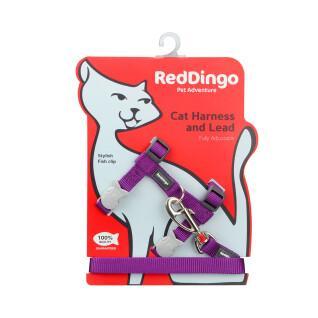 Cat harness and leash Red Dingo
