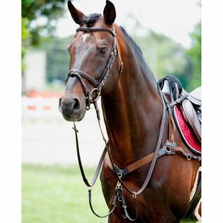 Elastic horse hunting collar with martingale Tattini