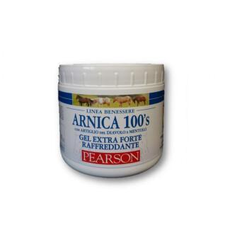 Refreshing gel for horses Tattini Arnica
