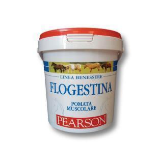 Horse cream Tattini Flogestina