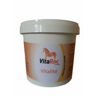 Vitamins and minerals for horses VitaRoc by Arbalou Vitalité
