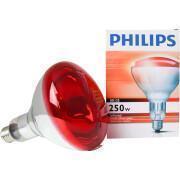Infrared lamp Kerbl Philips