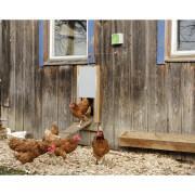 Aluminum sliding chicken house door Kerbl