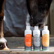 Set of 3 horse shampoos Alodis Care