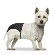 Protective panty for dogs Duvoplus