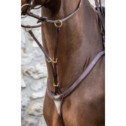 Ring martingale fork Dy’on