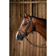 English-combined riding bridle with snap hook Dy’on