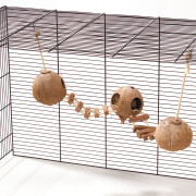 Rodent shelter Ebi Coconut avec échelle et corde Globehouse