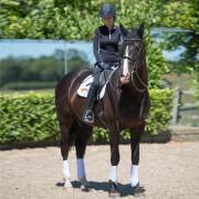 Horse gaiters Equilibrium S&F Simples