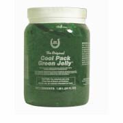 Refreshing gel for horses Farnam Cool-Pack Green Jelly 1,89 L