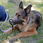 Dog muzzle Ferplast Safe