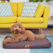 Cushion for dog Ferplast Polo 80