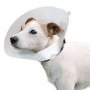 Veterinary dog collar Ferplast GRO 6007