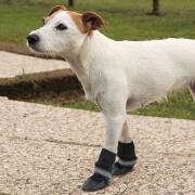 Protective shoes for dogs Ferplast (x2)