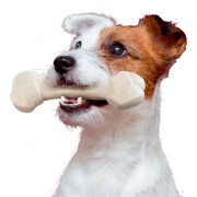 Chicken-flavored chew toy for dogs Ferplast (x2)