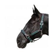 Halter for horse nylon/leather Flags&Cup