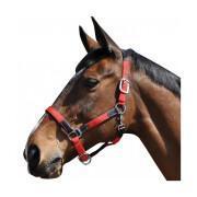 Halter for horse nylon/leather Flags&Cup