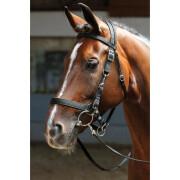 Snaffle bridles Harry's Horse