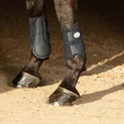 Knee protector for horses Harry's Horse Beenbeschermers Flextrainer Air mesh