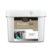 Supplement for Foals Horse Master Phosphocal