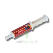 Syringe for performance sport horses Horse Master Red Power Booster