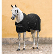 Horse stable rug with microfiber lining Horseware Rambo