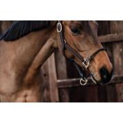 Leather halter for horses Kentucky reins