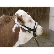 Adjustable halter for cattle and bulls Kerbl