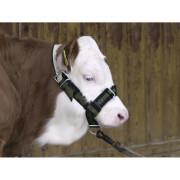 Adjustable halter for calves Kerbl