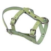 Leather halter for sheep Kerbl
