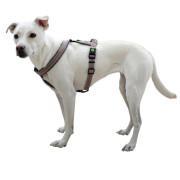 Dog harness Kerbl Xenos