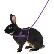 Harness for rodents Kerbl Agility