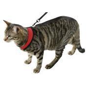 Set of 3 cat harnesses with leash Kerbl Active