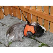 Set of 3 harnesses for sport rodents Kerbl