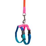 Set of 3 harnesses for rodents in assorted colors Kerbl